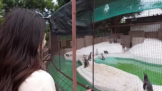 逼毛旺盛的颜值御姐豹纹情趣装诱惑 坚挺的大奶子镜头前边揉边抠骚穴