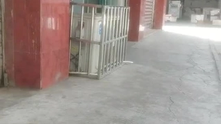 驯龙高手好看吗
