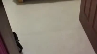 二零二三九月四号_延安安